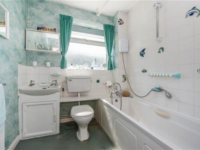 Picture 16